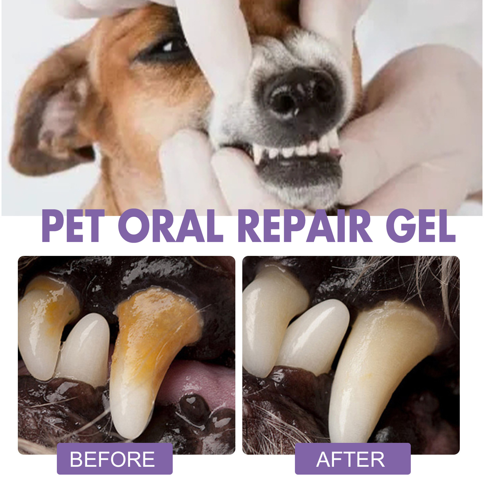 الحيوانات الأليفة الفم إصلاح ه - مراجعة Teeth Whitening Essence وسعره